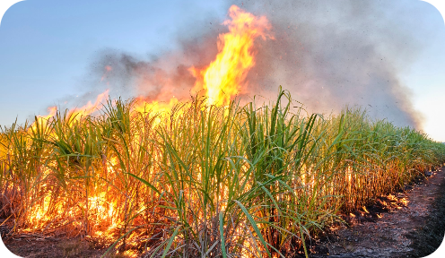 Crop residue flames